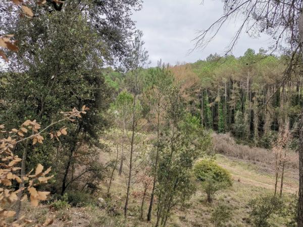 Terreno en Bellaterra