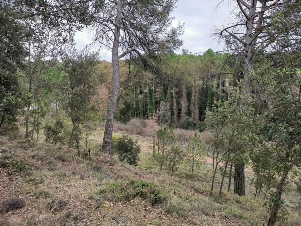 Terreno en Bellaterra