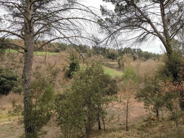 Terreno en Bellaterra