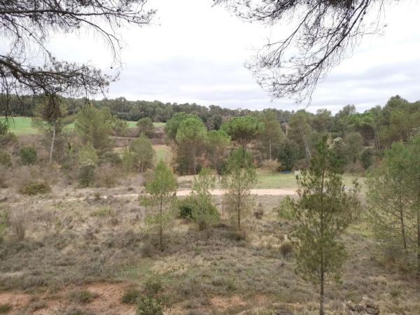 Terreno en Bellaterra