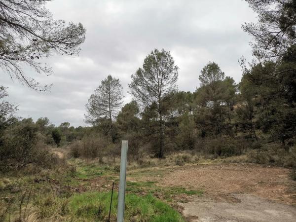 Terreno en Bellaterra