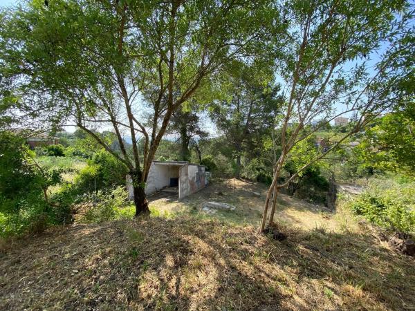 Terreno en calle del Teatre, 61