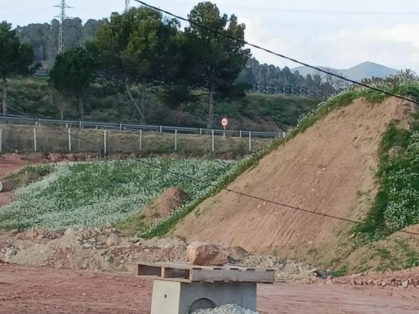 Terreno en Antic