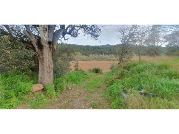 Terreno en via Sense Nom, 4