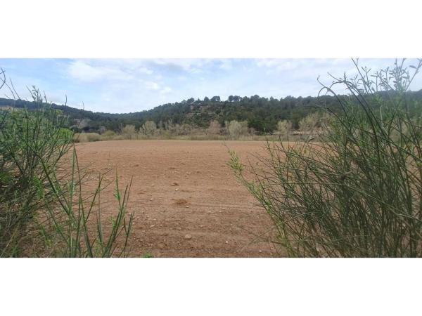 Terreno en via Sense Nom, 4