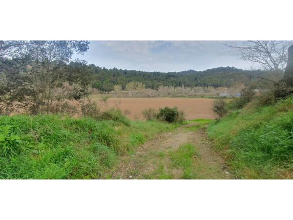 Terreno en via Sense Nom, 4