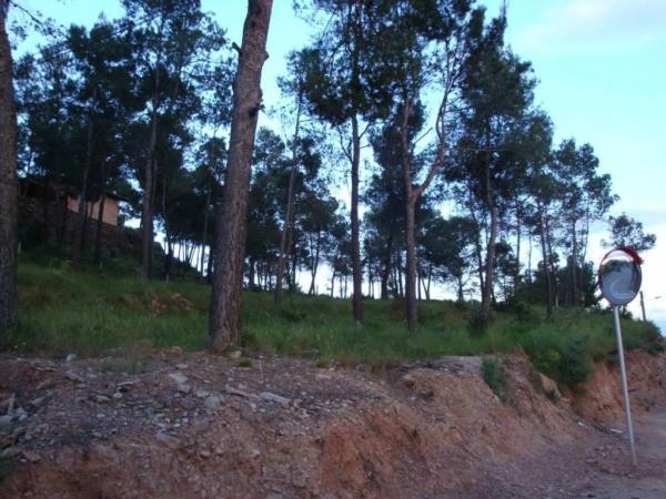 Terreno en Castellnou de Bages