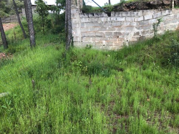 Terreno en Castellnou de Bages