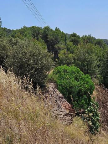 Terreno en Callús