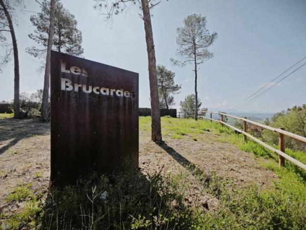 Terreno en avenida Sabina Brucart