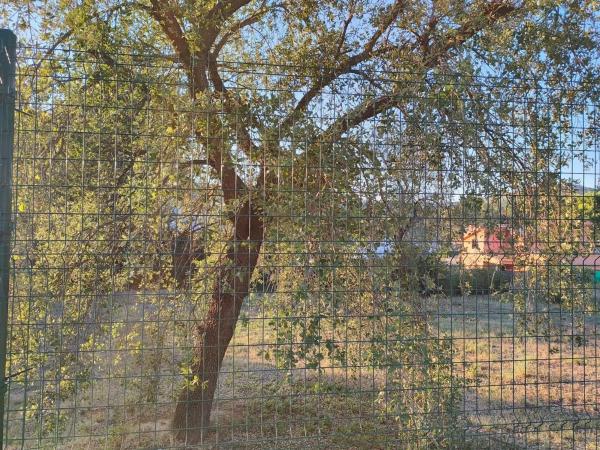 Terreno en Fonollosa