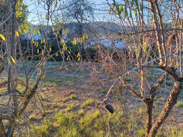 Terreno en Fonollosa