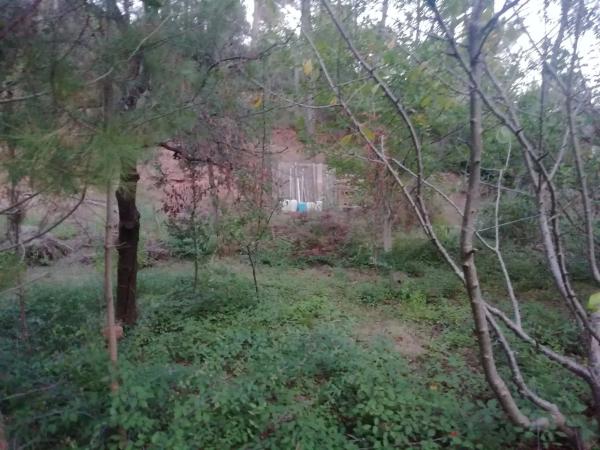 Terreno en Castellnou de Bages