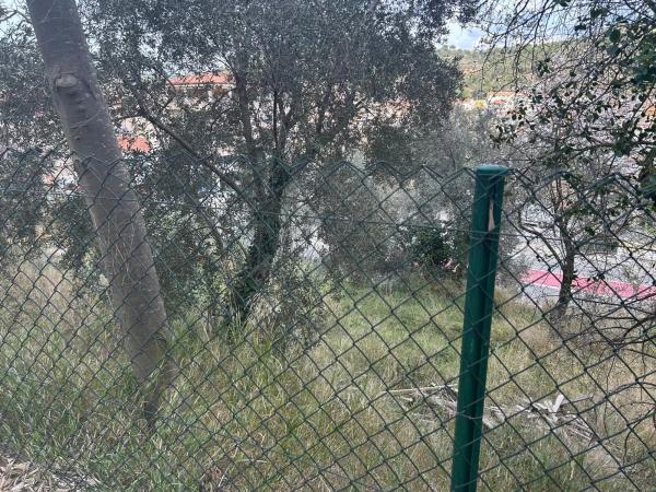 Terreno en calle Avet