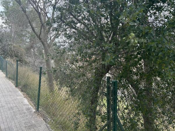 Terreno en calle Avet