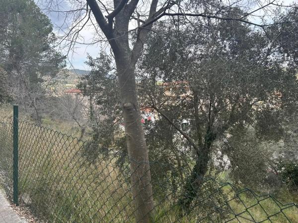 Terreno en calle Avet