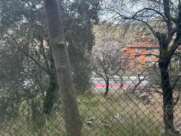 Terreno en calle Avet