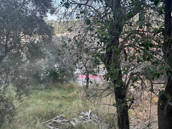 Terreno en calle Avet