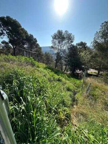 Terreno en calle del Roure, 3