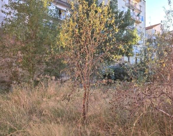 Terreno en Passatge de Puig