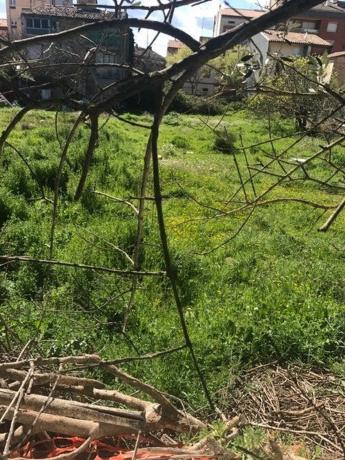 Terreno en Sagrada Familia