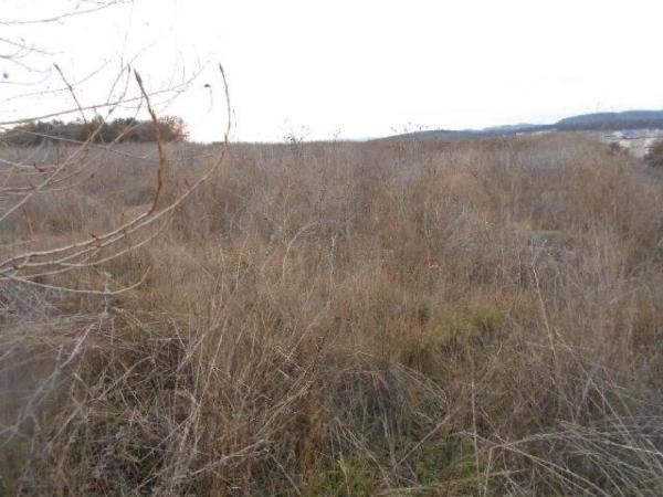 Terreno en plaza Pla del Mas