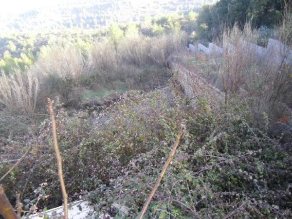 Terreno en calle de la Llebre
