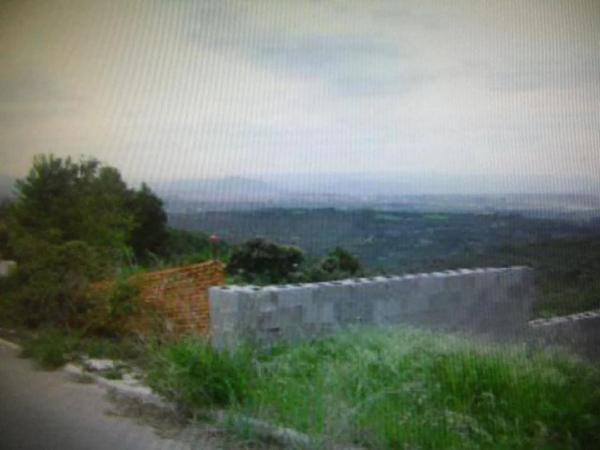 Terreno en calle de la Llebre