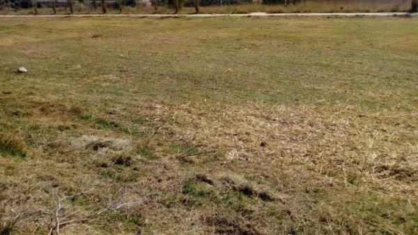 Terreno en paseo Anselm Clavé