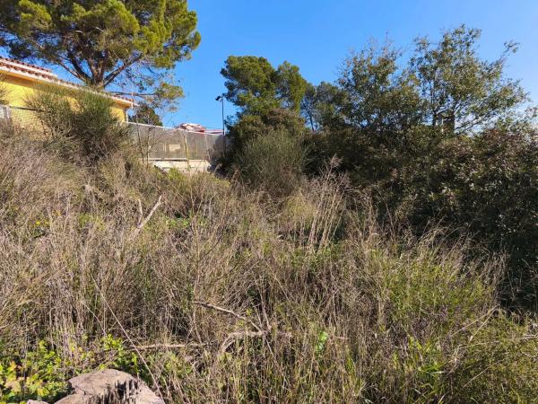 Terreno en paseo de Sant Jordi, 43