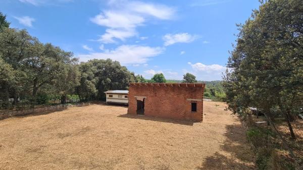 Terreno en camino del Putxot