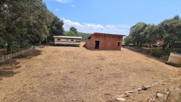 Terreno en camino del Putxot