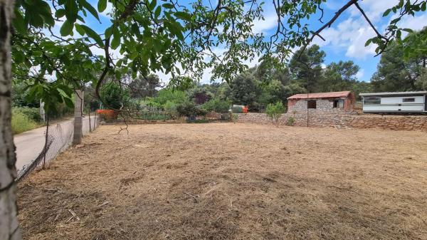 Terreno en camino del Putxot