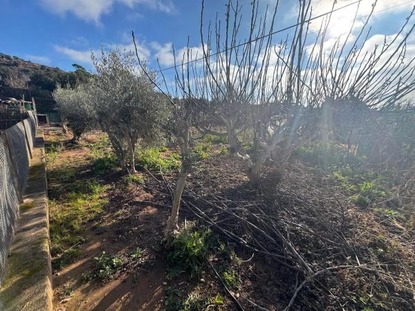 Terreno en Mion - Puigberenguer