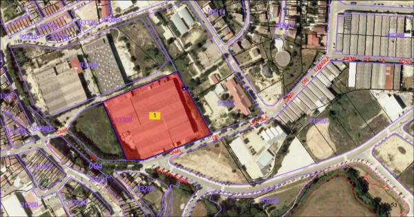 Terreno en camino de Solervicens