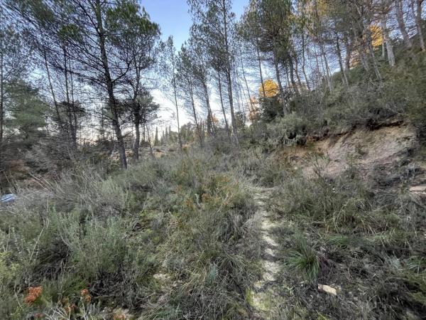 Terreno en calle de Can Prat, 61