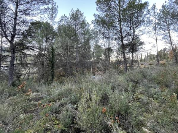 Terreno en calle de Can Prat, 61