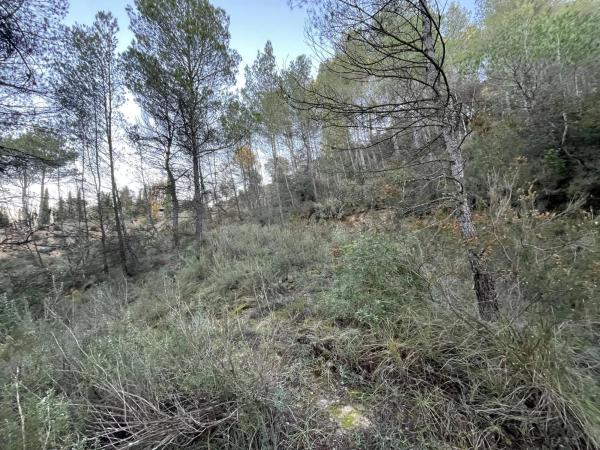 Terreno en calle de Can Prat, 61