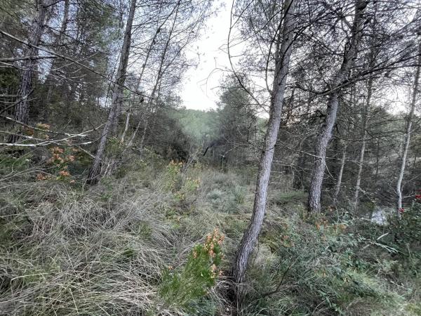 Terreno en calle de Can Prat, 61