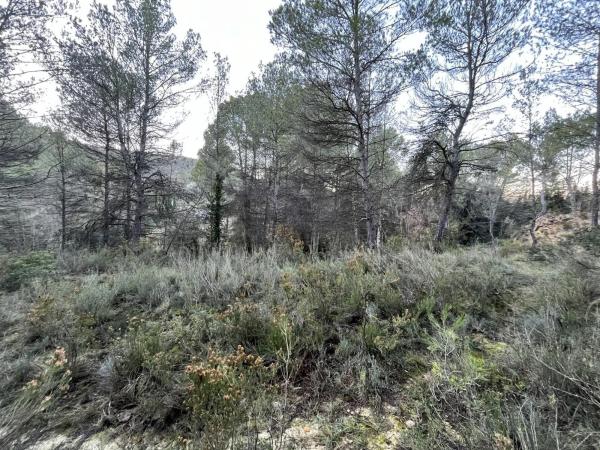 Terreno en calle de Can Prat, 61