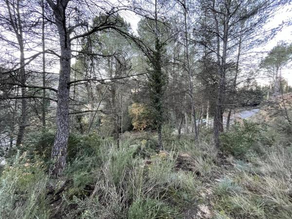 Terreno en calle de Can Prat, 61