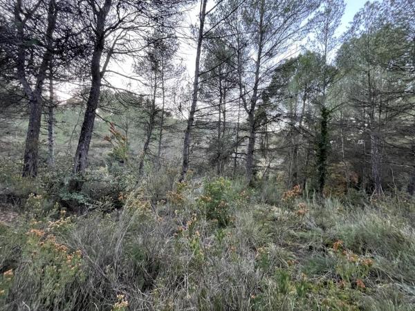 Terreno en calle de Can Prat, 61