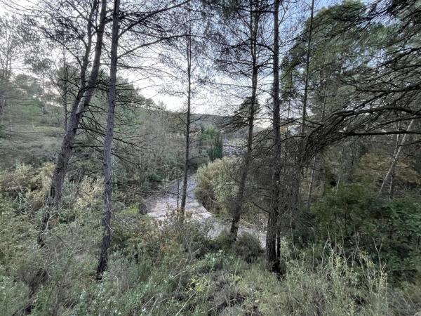 Terreno en calle de Can Prat, 61