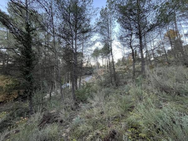 Terreno en calle de Can Prat, 61