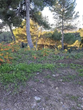 Terreno en calle de la Carena
