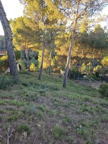 Terreno en calle de la Carena
