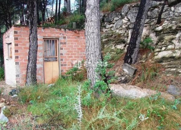 Terreno en calle Avet, 22