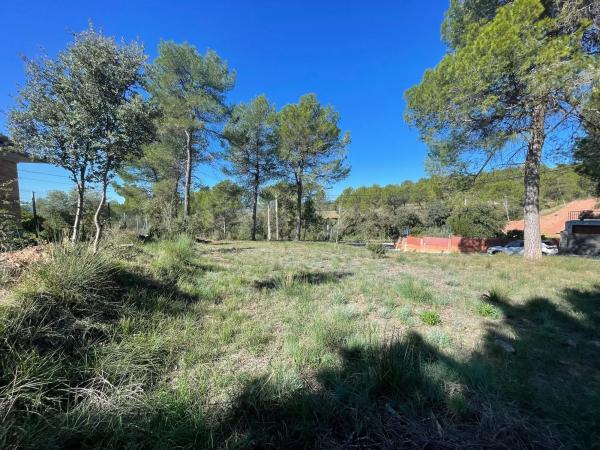 Terreno en calle Eucaliptus, 24