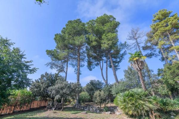 Terreno en avenida Pirineus