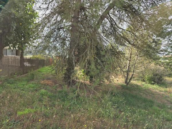 Terreno en calle Montcau